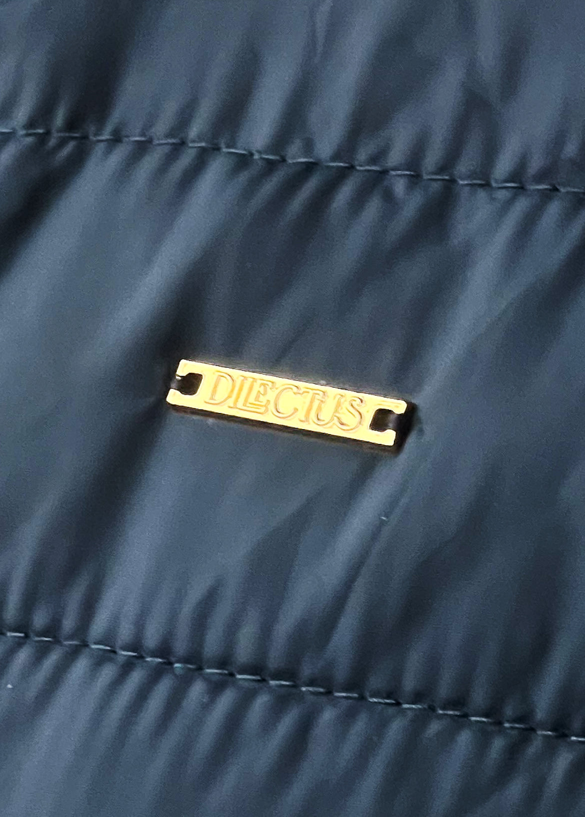 Colete com Fecho Frontal e Bolsos Dilectus Azul Marinho